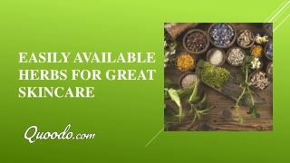 Easily Available Herbs for Great Skincare