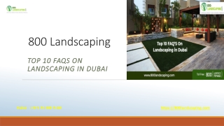 Top 10 FAQs on Landscaping in Dubai