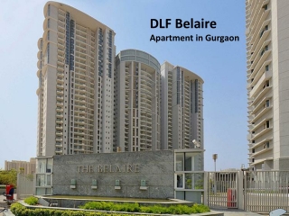 DLF Belaire Apartment on Rent in Gurgaon