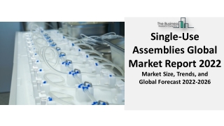 Single-Use Assemblies Market Size, Growth, Trends And Forecast 2031