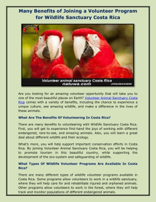 Volunteer Animal Sanctuary Costa Rica