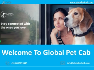 Worldwide Pet Relocation Services