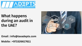 What happens during an audit in the UAE
