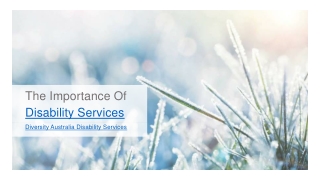 The Importance Of Disability Services