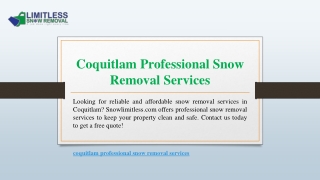 Coquitlam Professional Snow Removal Services | Snowlimitless.com