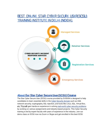 BEST ONLINE STAR CYBER SECURE USER(SCSU) TRAINING INSTITUTE IN DELHI (NOIDA).