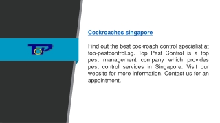 cockroaches singapore  Top-pestcontrol.sg