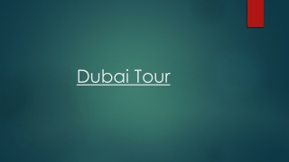 Get a Variety of Options and Plan the Perfect Dubai Tour