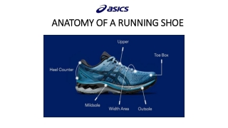 Anatomy Of A Running Shoe - A Complete Guide | Asics India