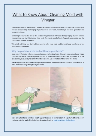 What to Know About Cleaning Mold with Vinegar