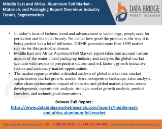 Middle East and Africa  Aluminum Foil Market  report