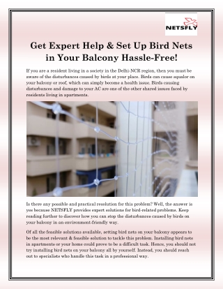 Pigeon Net for Balcony Noida