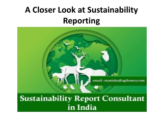 A Closer Look at Sustainability Reporting