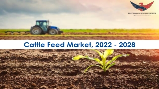 Cattle Feed Market Growth Analysis 2022-28