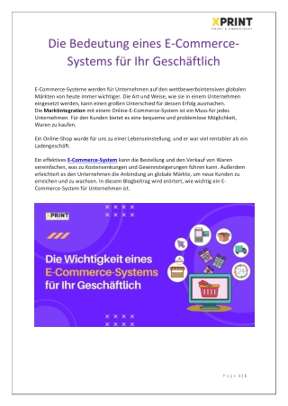 Die Bedeutung eines E-Commerce-Systems für Ihr Geschäftlich