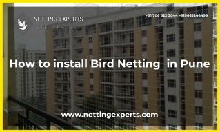 how to install bird netting  in Pune