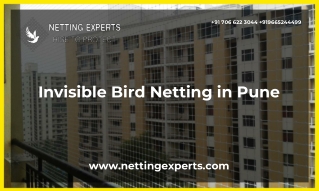 invisible bird netting in Pune