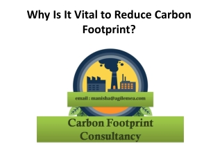 Why Is It Vital to Reduce Carbon Footprint