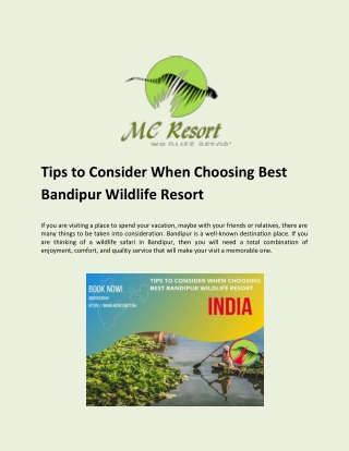 Tips to Consider When Choosing Best Bandipur Wildlife Resort