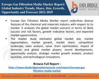 Europe Gas Filtration Media Market