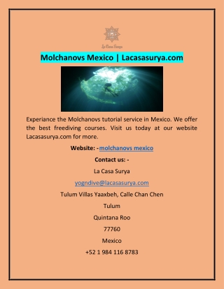 Molchanovs Mexico | Lacasasurya.com