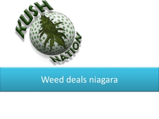 Weed deals niagara