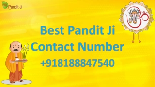 Best pandit ji contact number