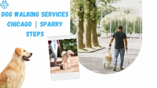 Dog Walking Services Chicago | Sparky Steps