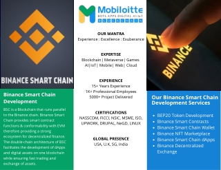 Binance Smart Chain Development Company