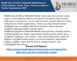 Middle East and Africa Telehealth Market  report