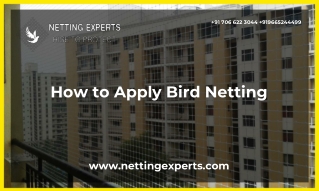 How to Apply Bird Netting