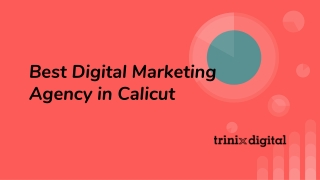 Best Digital Marketing Agency in Calicut