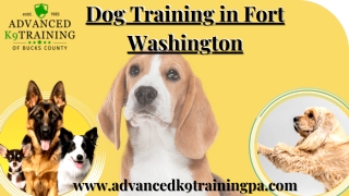 No.1 Dog Training in Fort Washington– Advanced K9 Training