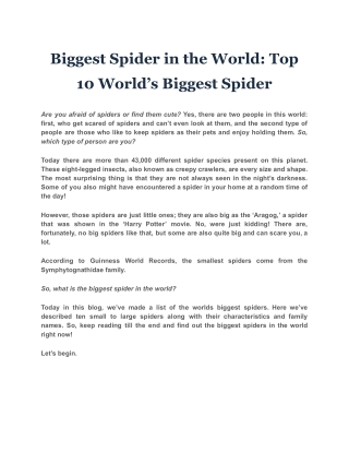 Biggest Spider in the World: Top 10 World’s Biggest Spider