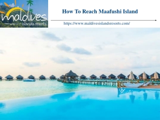 How To Reach Maafushi Island