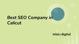 Best SEO Company in Calicut
