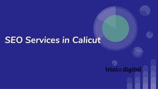 SEO Services in Calicut
