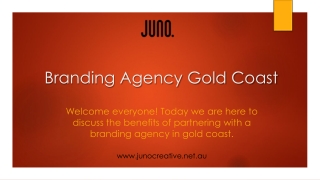 Find the Perfect Branding Agency on the Gold Coast | Juno Creative