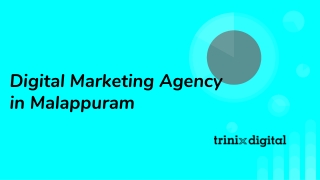 Digital Marketing Agency in Malappuram