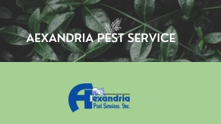 When Is A Pest Problem An Infestation?