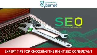 Expert Tips for Choosing the Right SEO Consultant