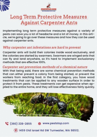 Centralia Pest Control | Lakewood Pest Control