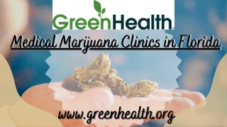 The Top Medical Marijuana Clinics in Florida– Green Health