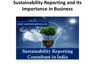 Sustainability Reporting and Its Importance in Business