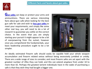 Gun Safe