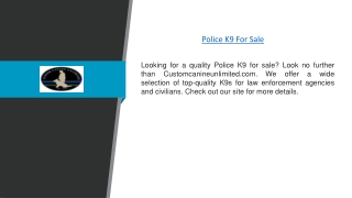 Police K9 For Sale | Customcanineunlimited.com