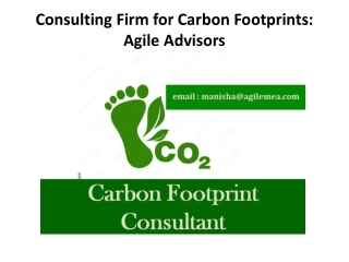 Consulting Firm for Carbon Footprints