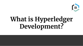What is Hyperledger Development?