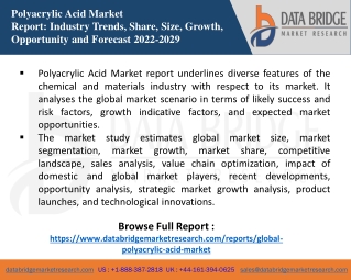Polyacrylic Acid Market
