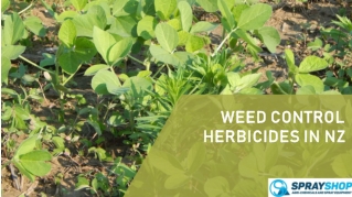 Weed Control Herbicides in NZ